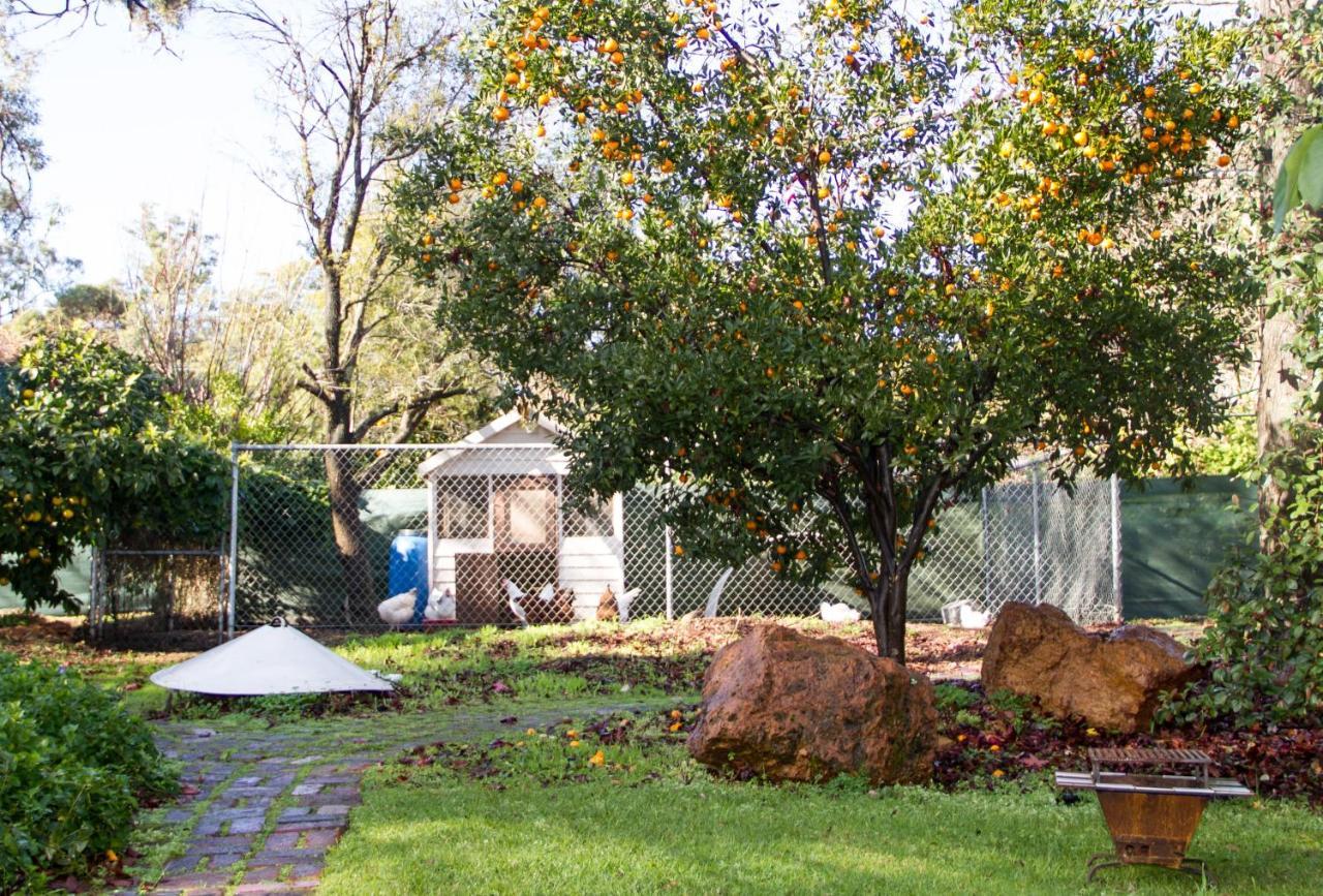 Farview Guest Accommodation Pickering Brook Eksteriør bilde